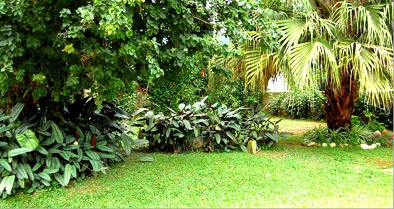 Hotel Primavera Penedo  Exterior photo